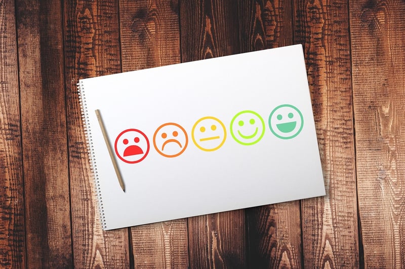 User Feedback